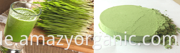 Organic Wheat Grass Juice Powder